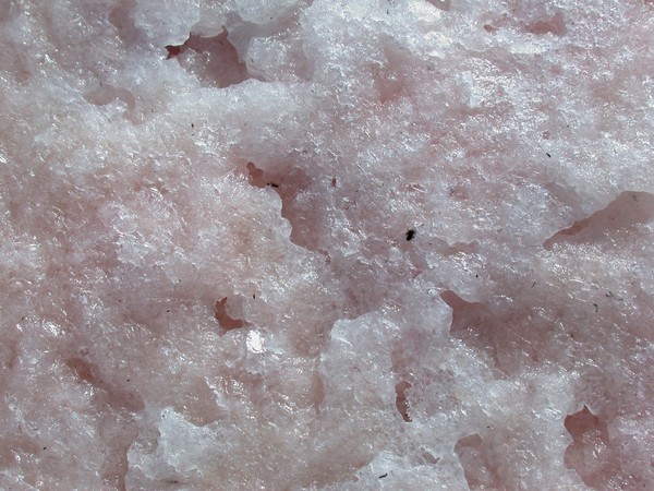 Salt (detail)
